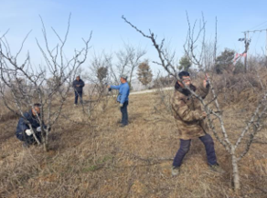 村落振兴工作动态（第155期）