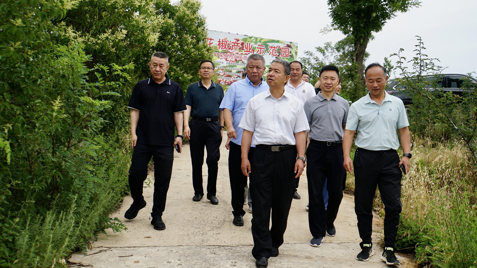 市国资委赴马王村督导村落振兴工作