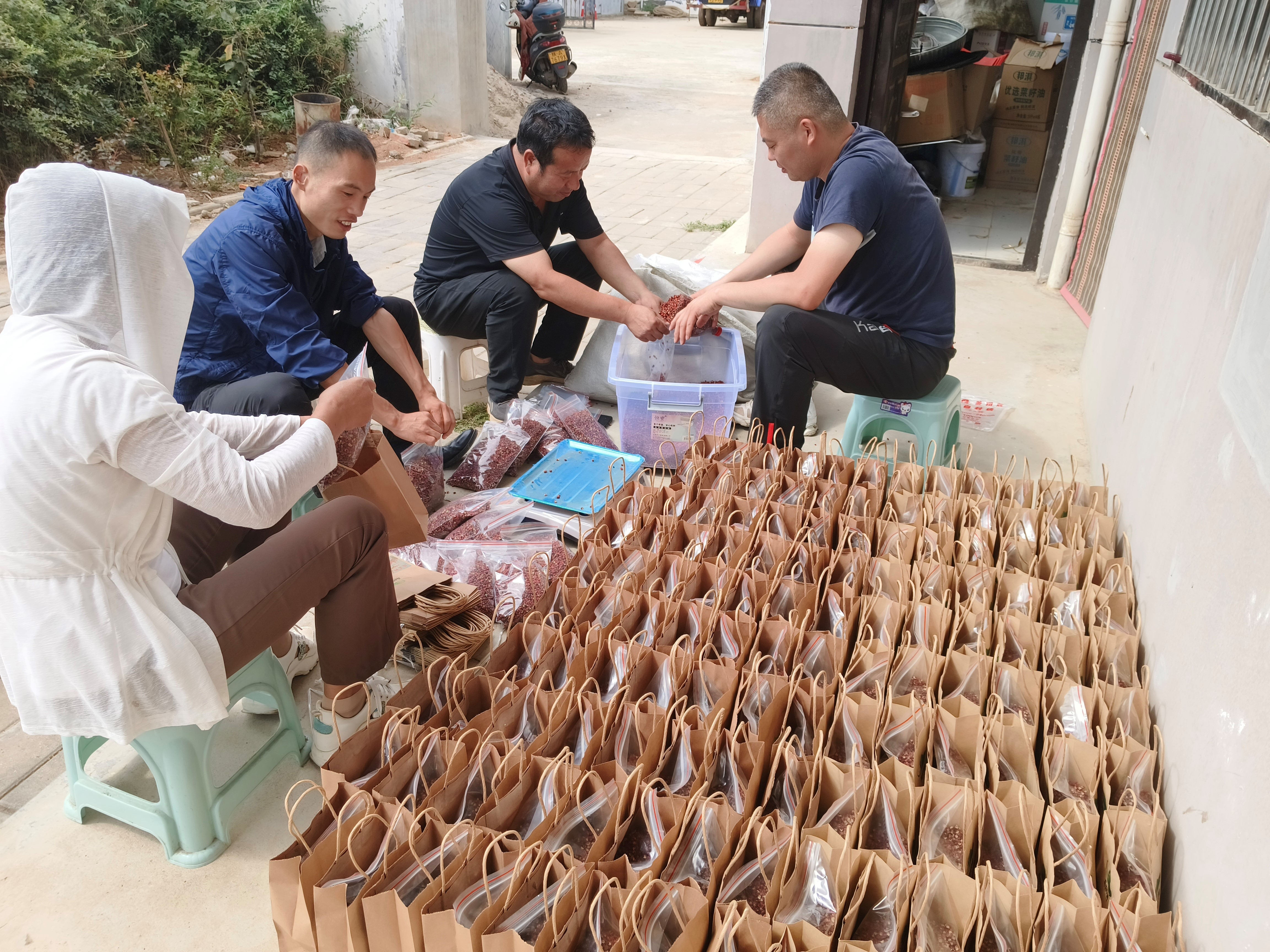 村落振兴工作动态（第161期）