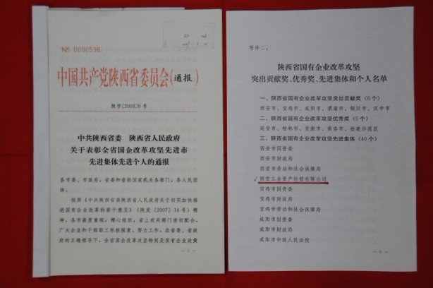 2009年2月，被陕西省委、省敌灾授予陕西省国有企业鼎新攻坚先进集体