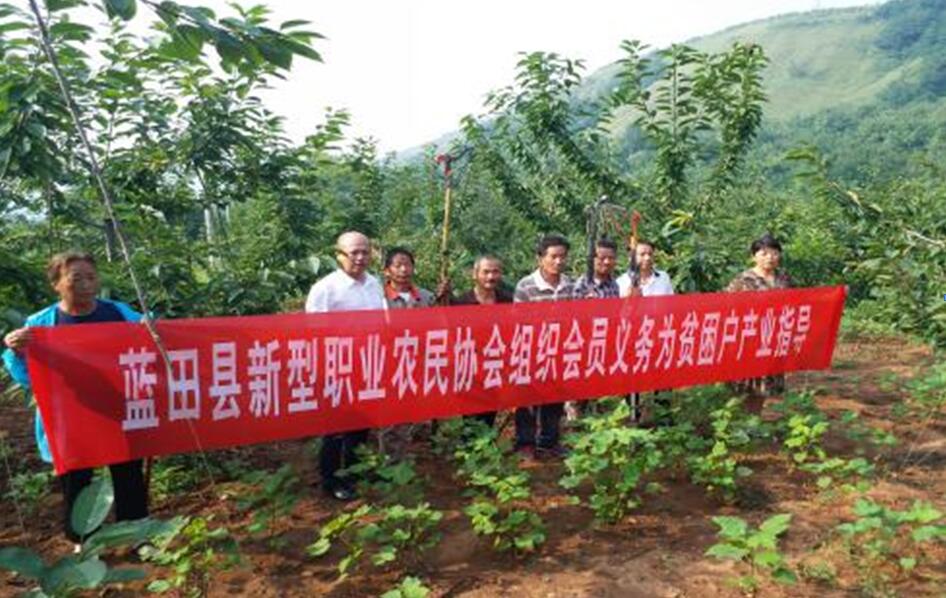 扶贫工作动态（第四十六期）